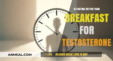 Fasting vs. Breakfast: Which Boosts Testosterone Levels More Effectively?