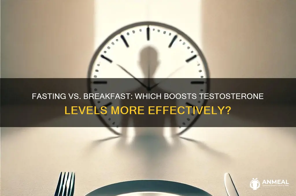 is fasting better than breakfast for testosterone