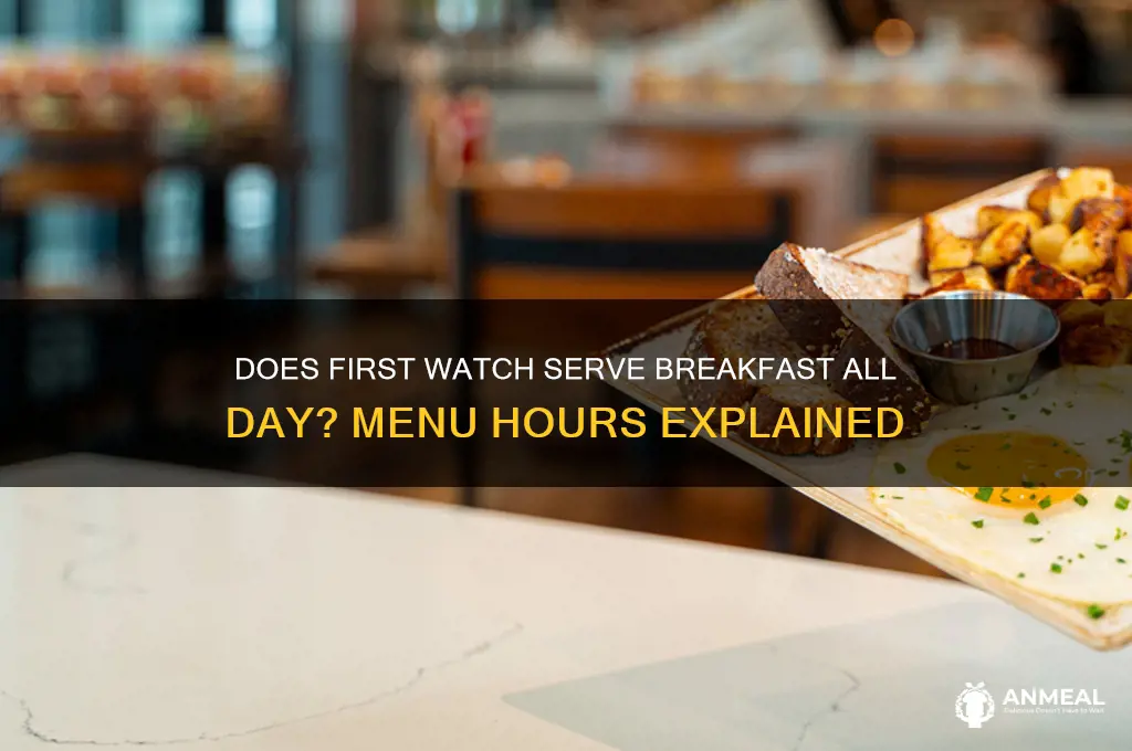 is first watch breakfast all day