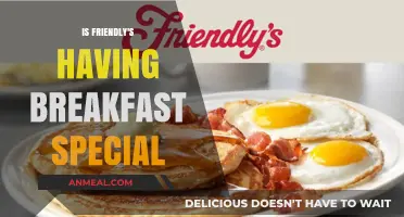 Friendly's Breakfast Special: A Morning Delight or Just Hype?