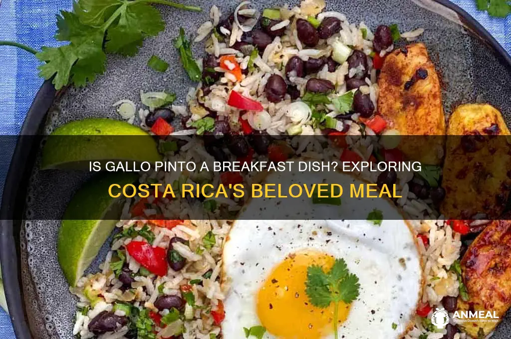 is gallo pinto a breakfast dish