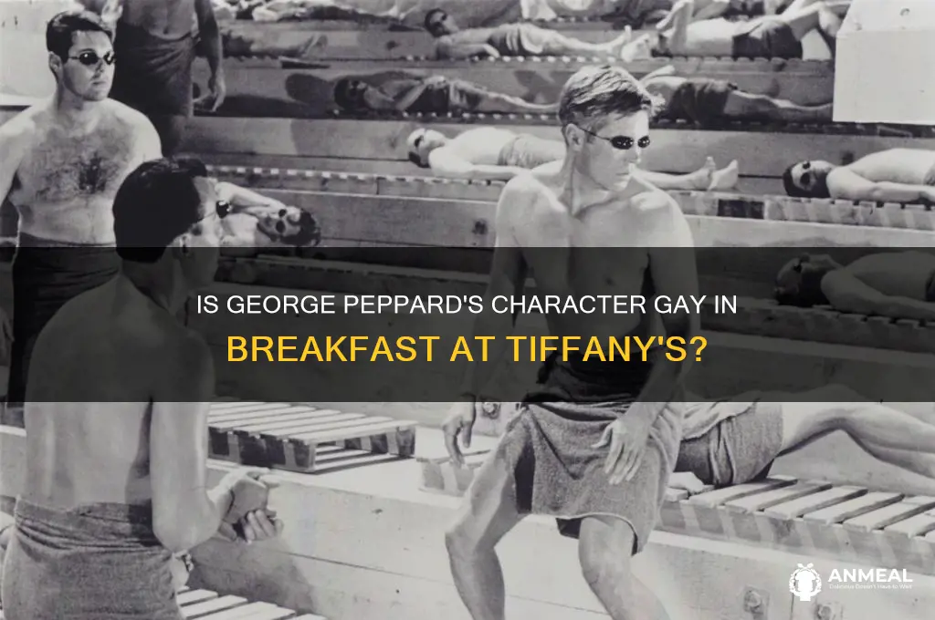 is george peppard character gay in breakfast at tiffany
