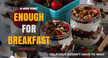 Greek Yogurt for Breakfast: Is It Enough to Start Your Day?