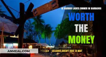 Harbor Lights Dinner Barbados: Is the Experience Worth Your Money?