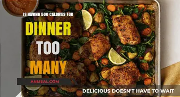 Is 500 Calories for Dinner Too Much? Expert Insights