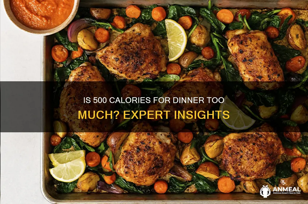 is having 500 calories for dinner too many