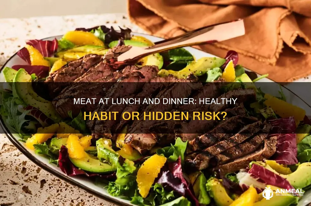 is having meat with lunch and dinner unhealthy