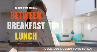 Is Heartburn Normal Between Breakfast and Lunch? Understanding Midday Discomfort
