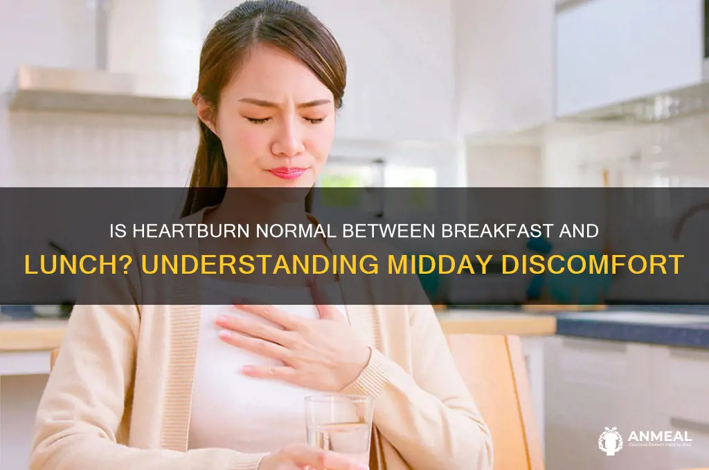 is heartburn normal between breakfast lunch