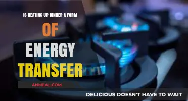 Heating Up Dinner: Exploring the Science of Energy Transfer