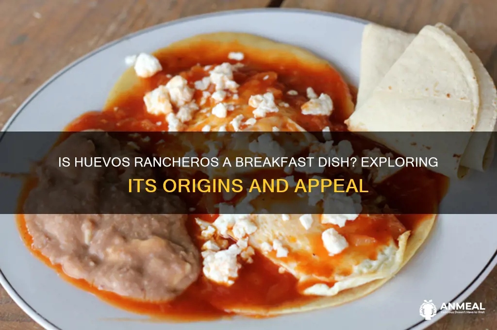 is huevos rancheros breakfast