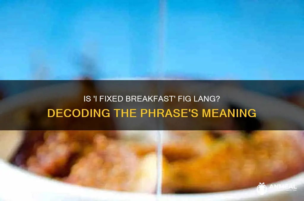 is i fixed breakfast fig lang
