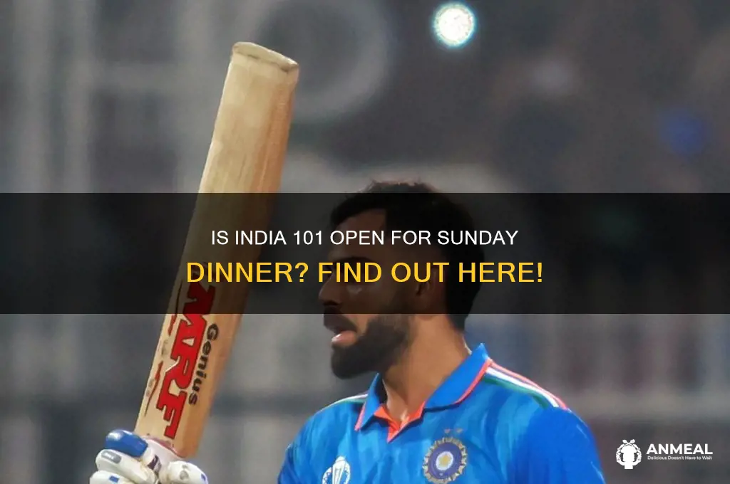 is india 101 open on sunday dinner