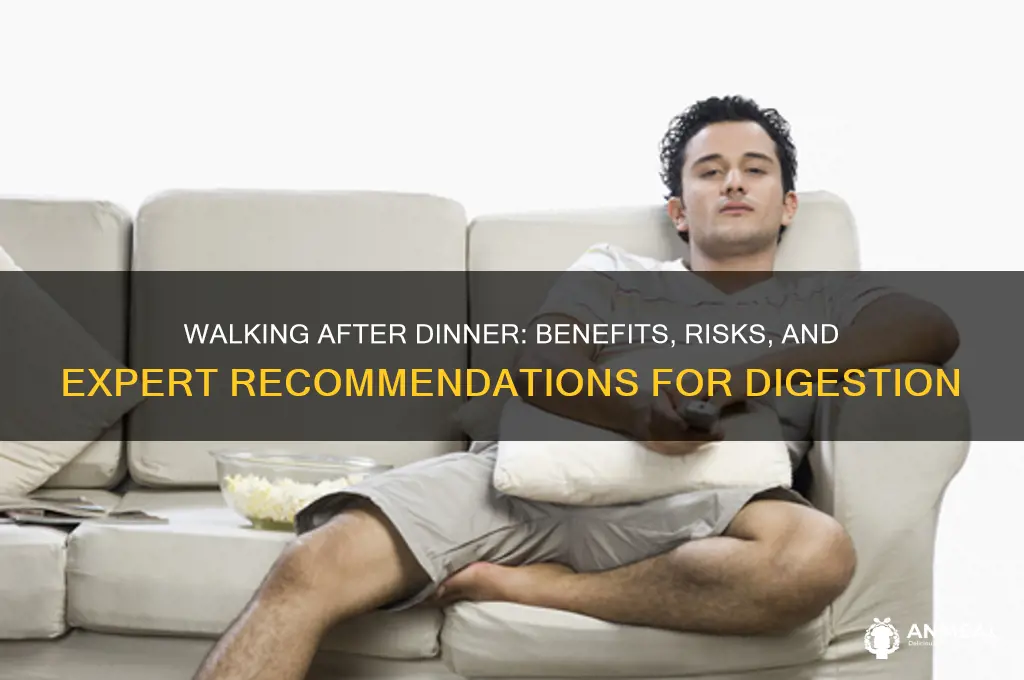 is it advisable to walk after dinner
