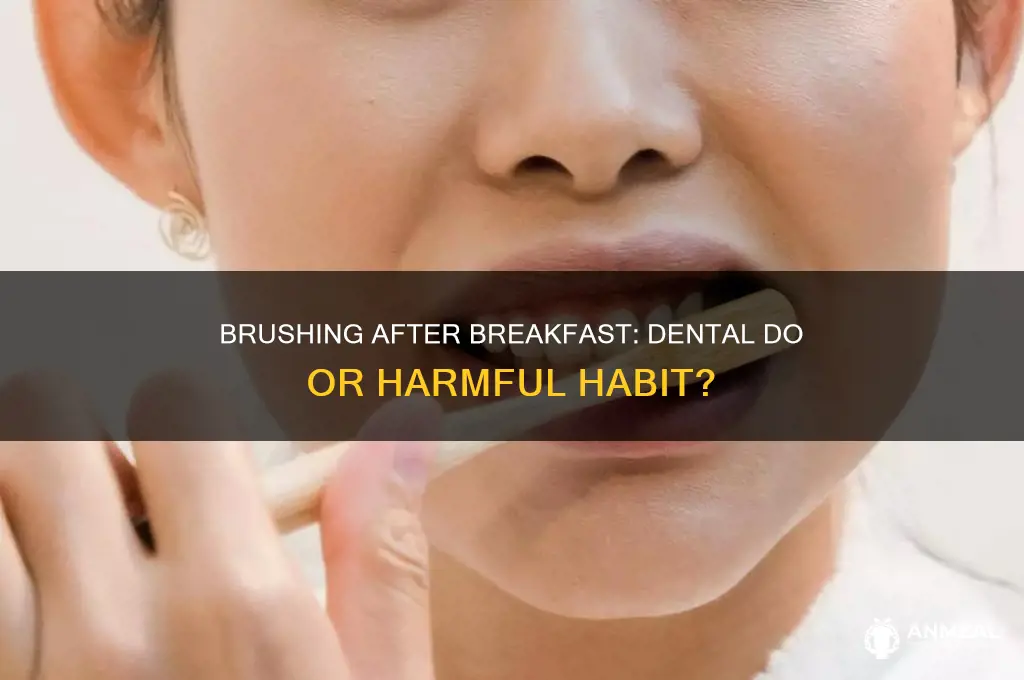 is it bad to brush after breakfast
