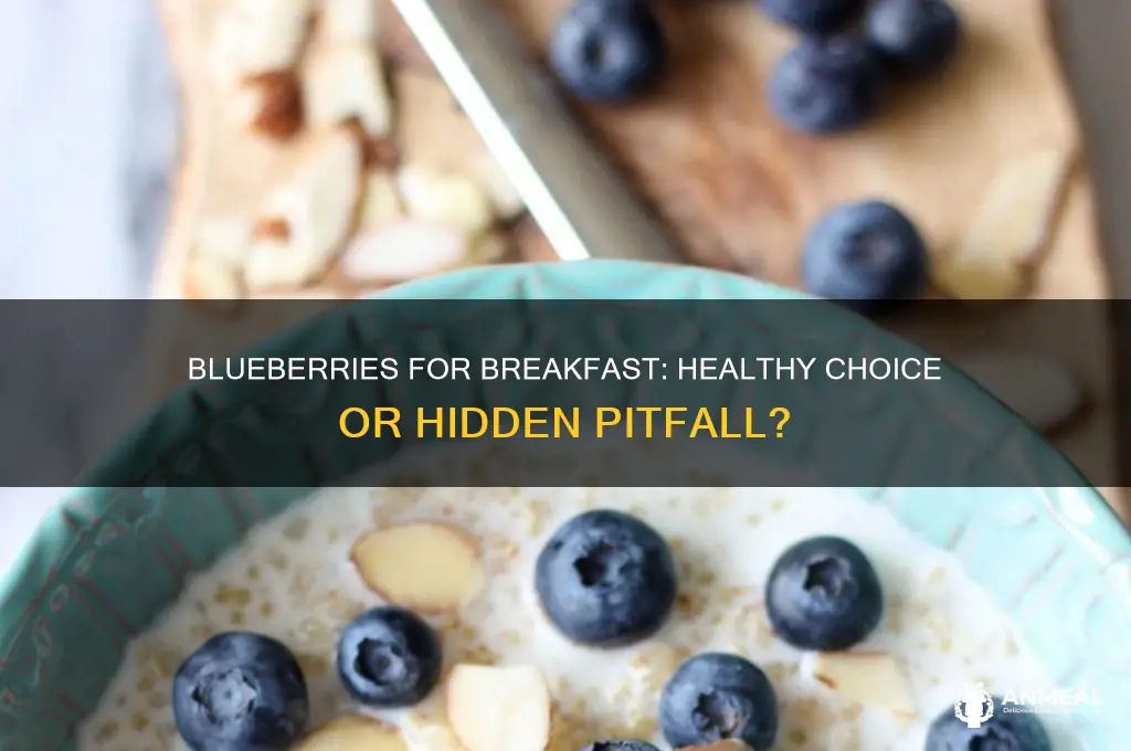 is it bad to have blueberries for breakfast