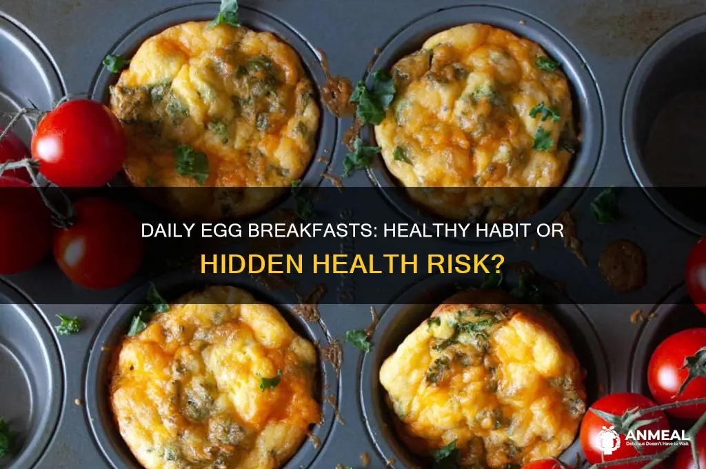 is it bad to have eggs for breakfast everyday