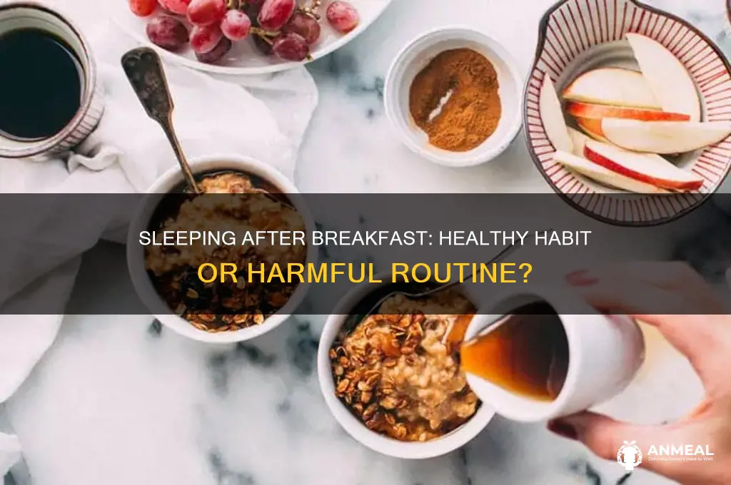 is it bad to sleep after breakfast
