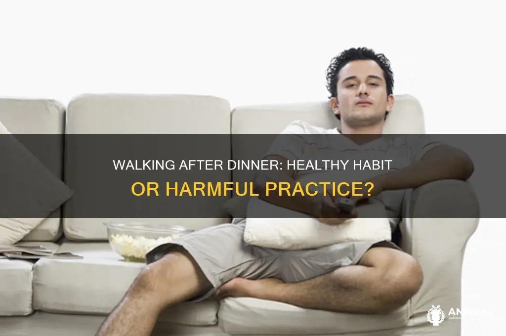 is it bad to walk after dinner
