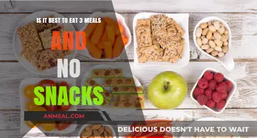 Optimal Eating: The Debate on Meals vs. Snacks