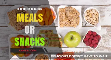 Big Meals vs. Snacks: Which Eating Style Is Better for You?