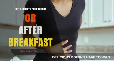 Poop Before or After Breakfast: Timing Your Morning Routine