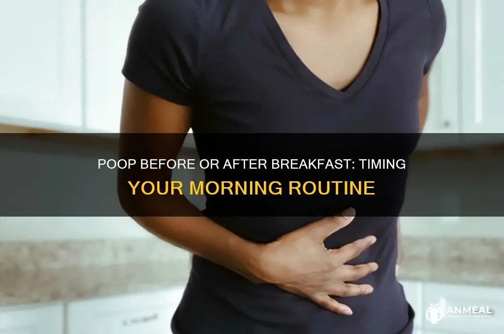 is it better to poop before or after breakfast