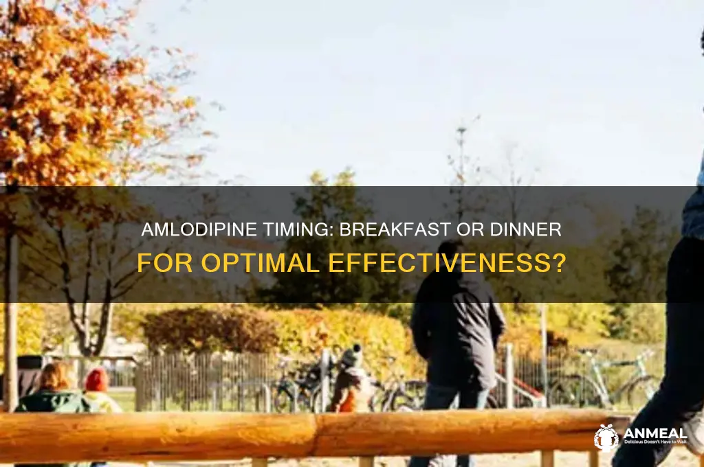 is it better to take amlodipine with breakfast or dinner