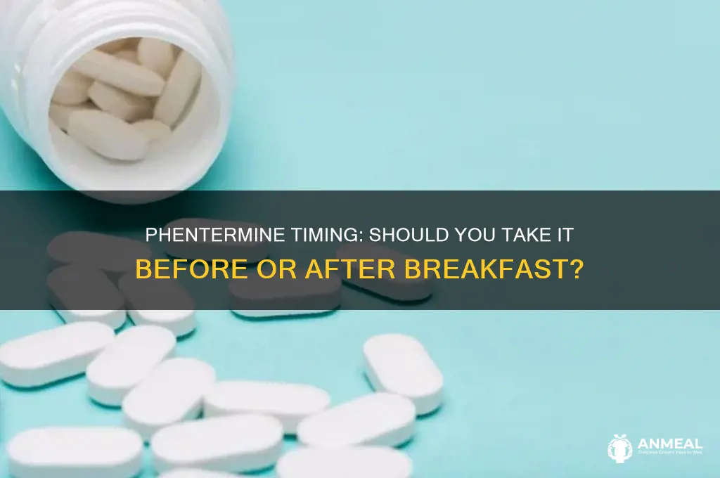 is it better to take phentermine before or after breakfast