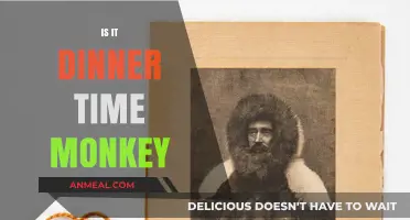 Is It Dinner Time, Monkey? Exploring the Curious Mealtime Habits of Primates