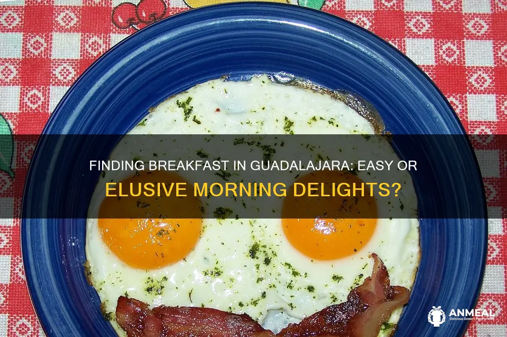 is it easy to find breakfast in guadalajara
