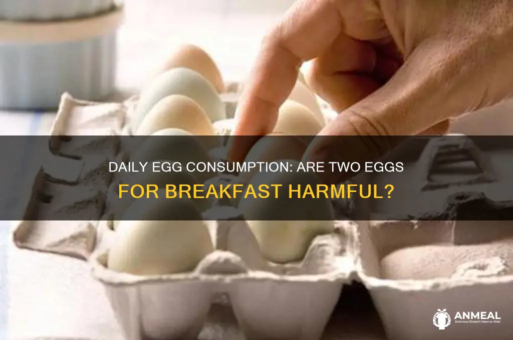 is it harmful to have 2 eggs everyday for breakfast