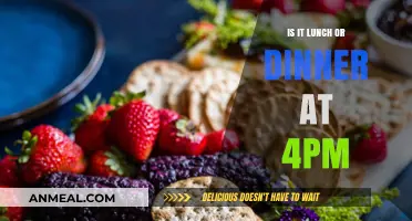 Lunch or Dinner at 4 PM: Decoding the Perfect Meal Time