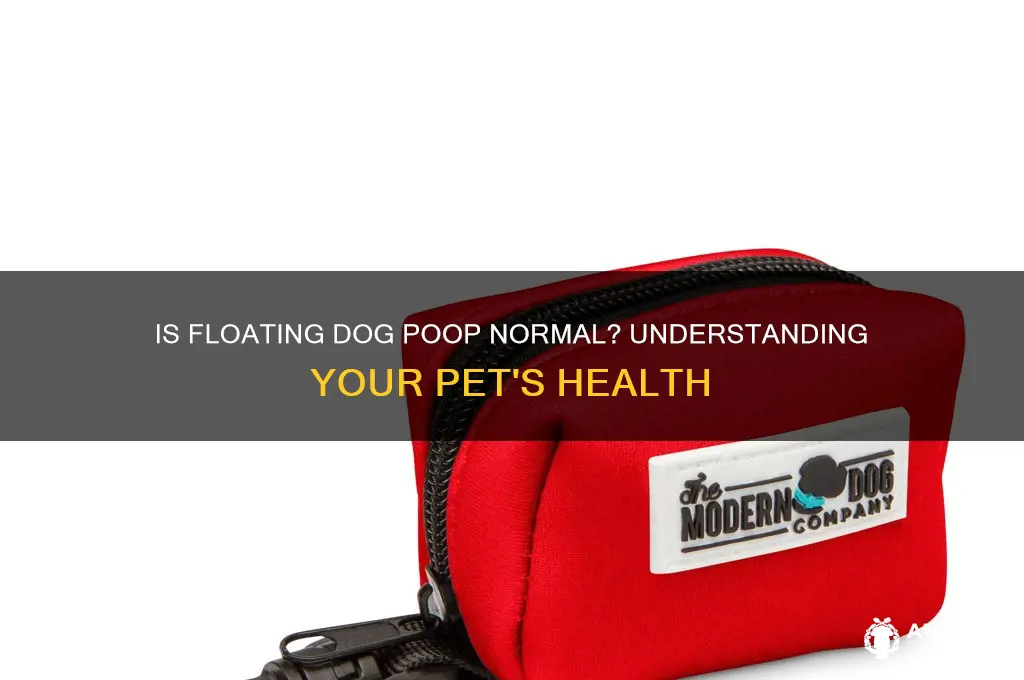 is it normal for dinner feces to float