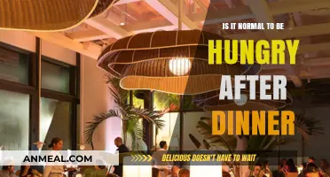 Is Post-Dinner Hunger Normal? Understanding Evening Appetite Cues