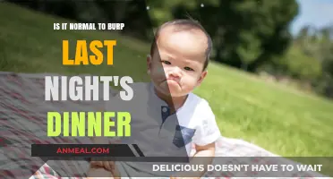 Is Burping Last Night's Dinner Normal? Understanding Digestive Health
