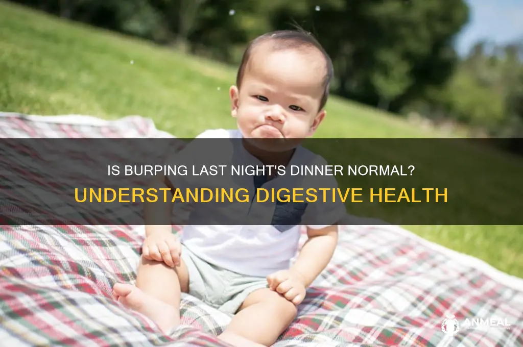 is it normal to burp last night