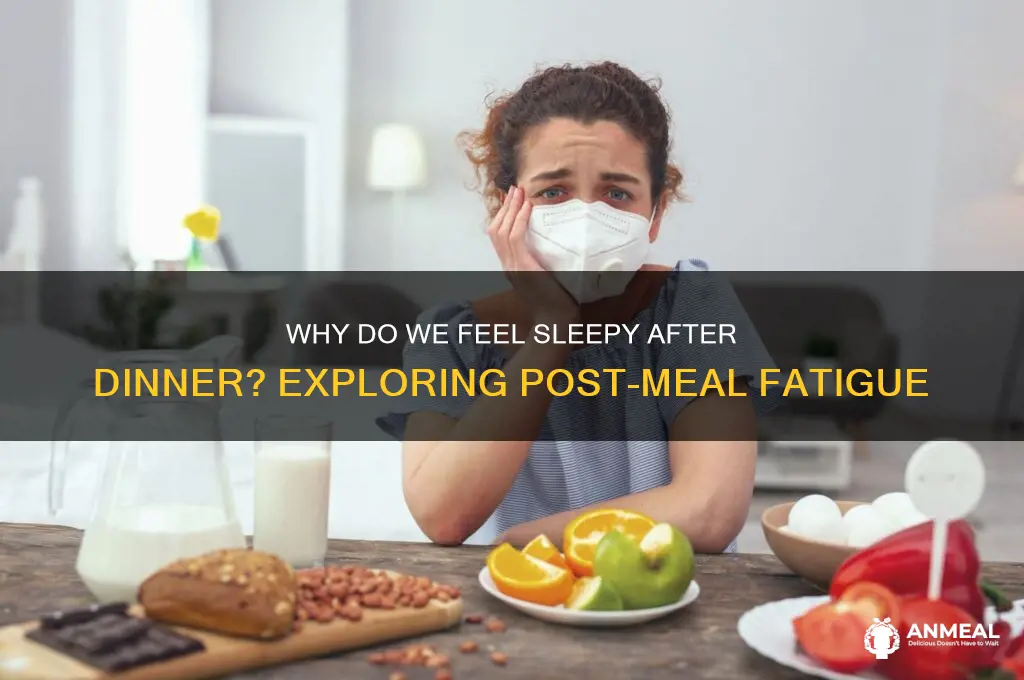 is it normal to get sleepy after dinner