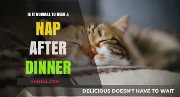 Post-Dinner Naps: Normal or Not? Understanding Evening Sleepiness