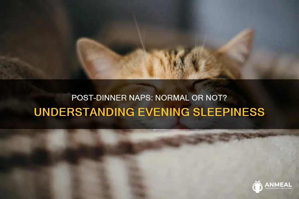 is it normal to need a nap after dinner