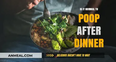 Post-Dinner Poop: Understanding the Common After-Meal Bathroom Habit