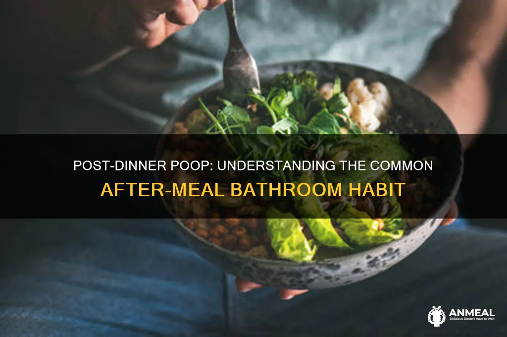 is it normal to poop after dinner