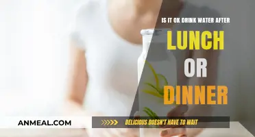 Drinking Water After Meals: Healthy Habit or Harmful Myth?