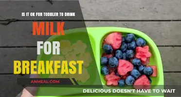 Toddler Milk at Breakfast: Healthy Choice or Hidden Concern?
