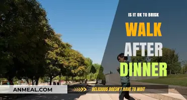Brisk Walking After Dinner: Healthy Habit or Digestive Dilemma?