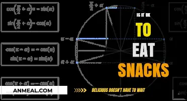 Snacking Dilemma: Balancing Health and Temptation
