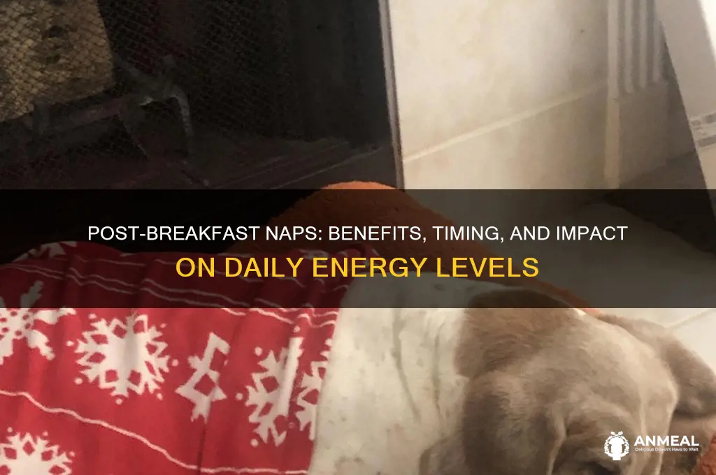 is it ok to take a nap after breakfast