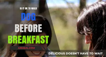 Walking Your Dog Before Breakfast: Benefits, Risks, and Best Practices