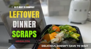 Composting Dinner Scraps: Eco-Friendly Solution or Wasteful Mistake?
