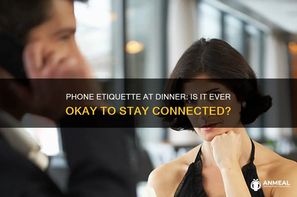 is it rude to be on the phone during dinner
